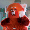 Chat Bot
